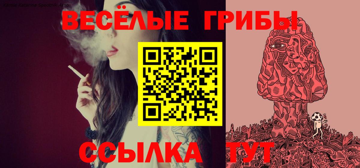 Каменск-Уральский  Галлюциногенные грибы ЛСД  Вход с VPN 